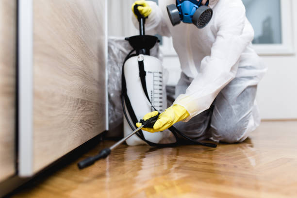 Pest Control Cost in Kyle, SD