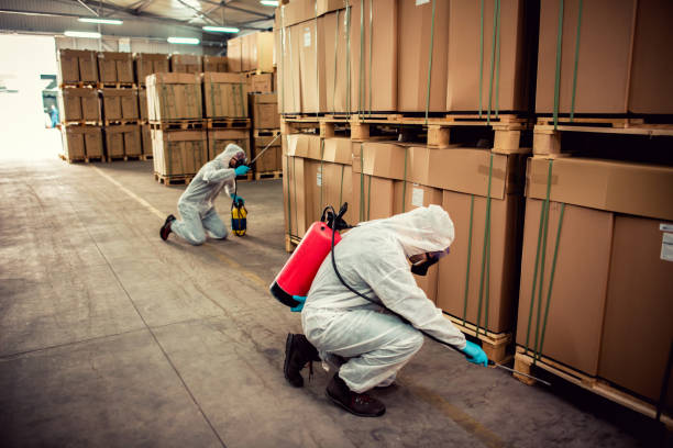 Best Affordable Pest Control Services  in Kyle, SD