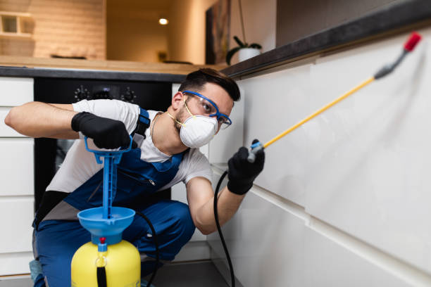 Pest Prevention Services in Kyle, SD