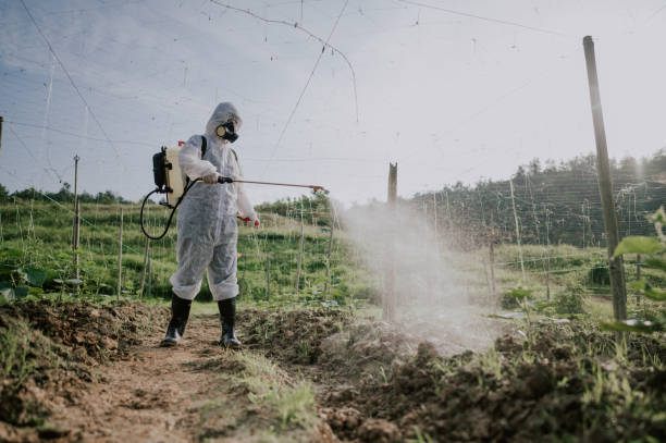 Best Pest Prevention Services  in Kyle, SD