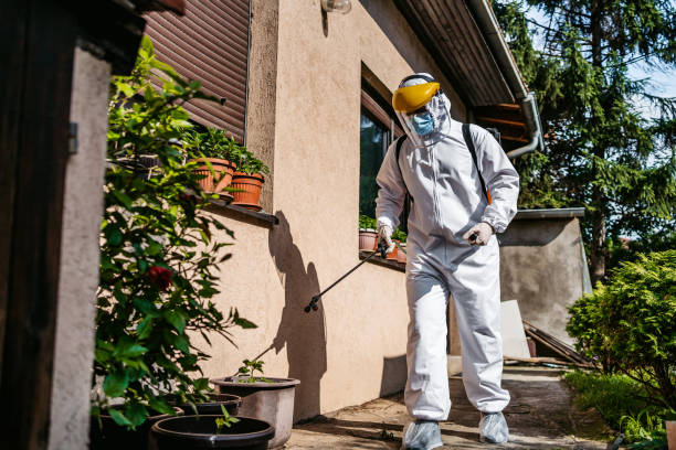 Best Emergency Pest Control  in Kyle, SD