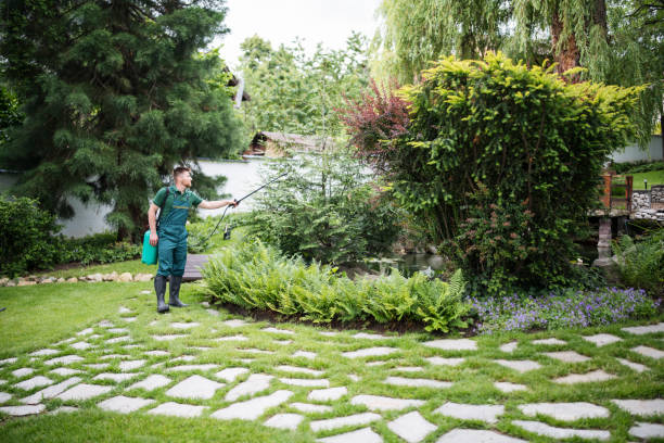 Best Local Pest Control Services  in Kyle, SD