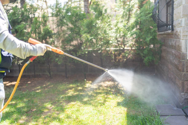 Best Wasp Removal Services  in Kyle, SD