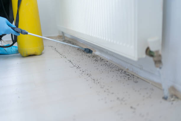 Best Bed Bug Extermination  in Kyle, SD