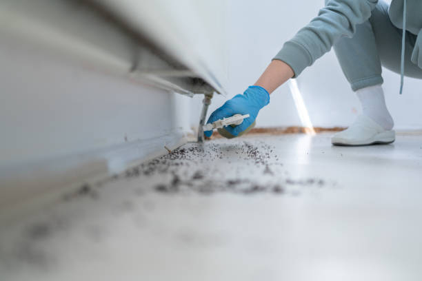 Wildlife Control Services in Kyle, SD